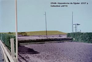 Oran- Le figuier 36a